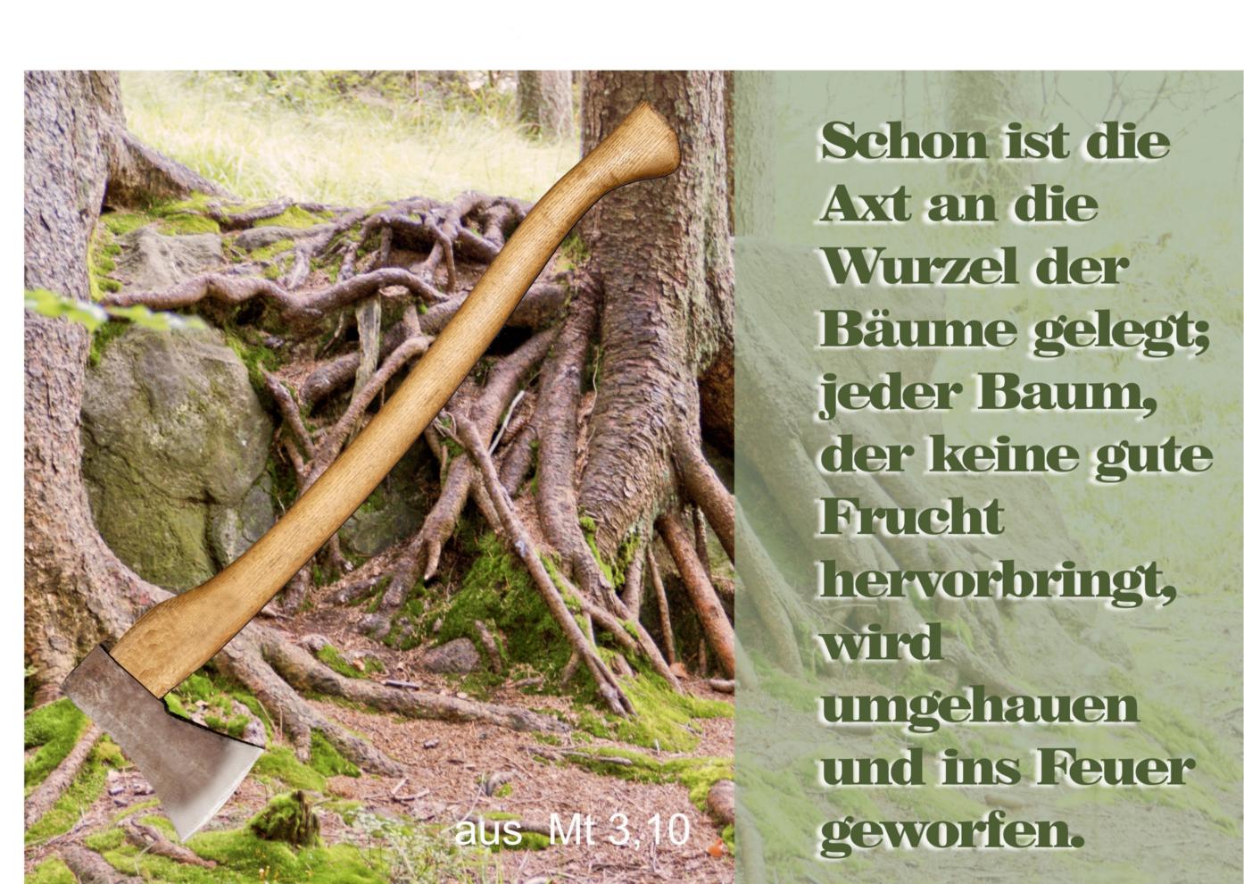 Eine Axt vor einem Baum mit Text: Schon ist die Axt an die Wurzel der Bäume gelegt ...