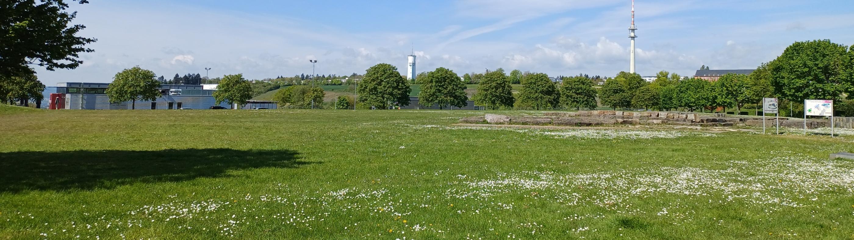 Petrisberg - Blick auf den Wasserturm und Funkturm