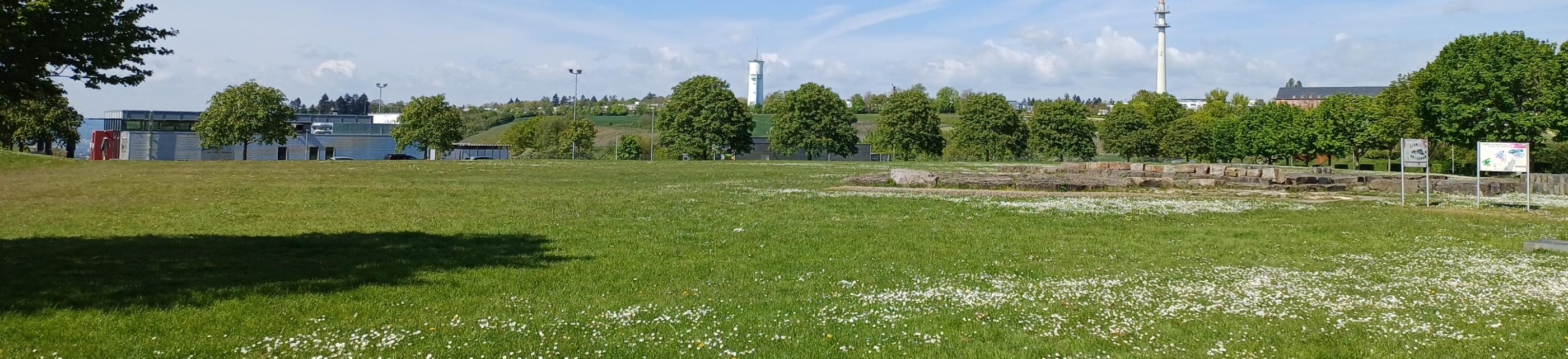 Petrisberg - Blick auf den Wasserturm und Funkturm