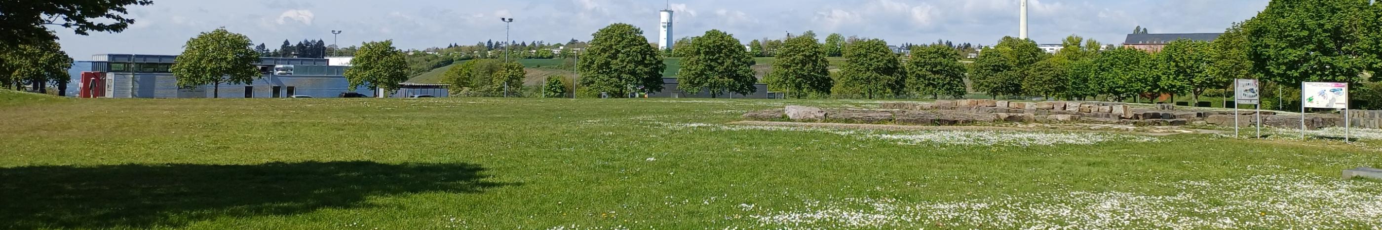 Petrisberg - Blick auf den Wasserturm und Funkturm