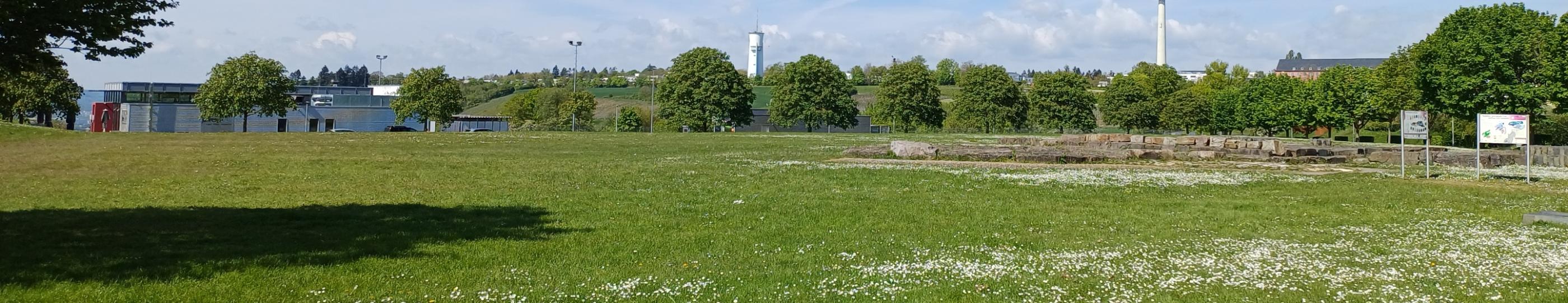 Petrisberg - Blick auf den Wasserturm und Funkturm