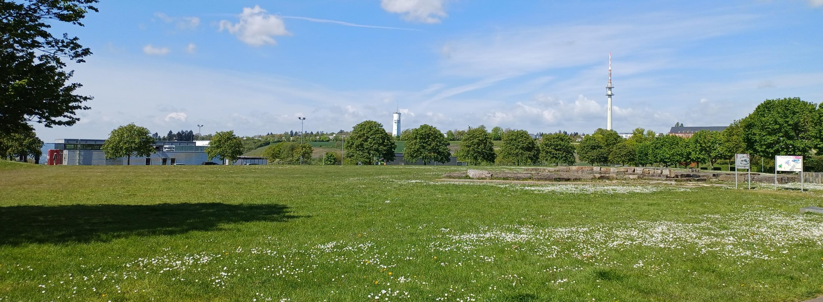 Petrisberg - Blick auf den Wasserturm und Funkturm