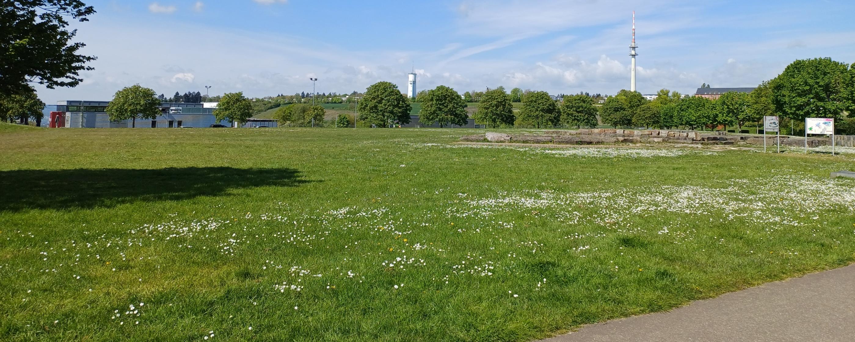 Petrisberg - Blick auf den Wasserturm und Funkturm