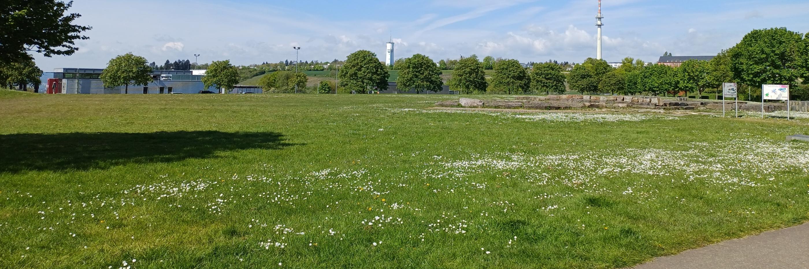 Petrisberg - Blick auf den Wasserturm und Funkturm