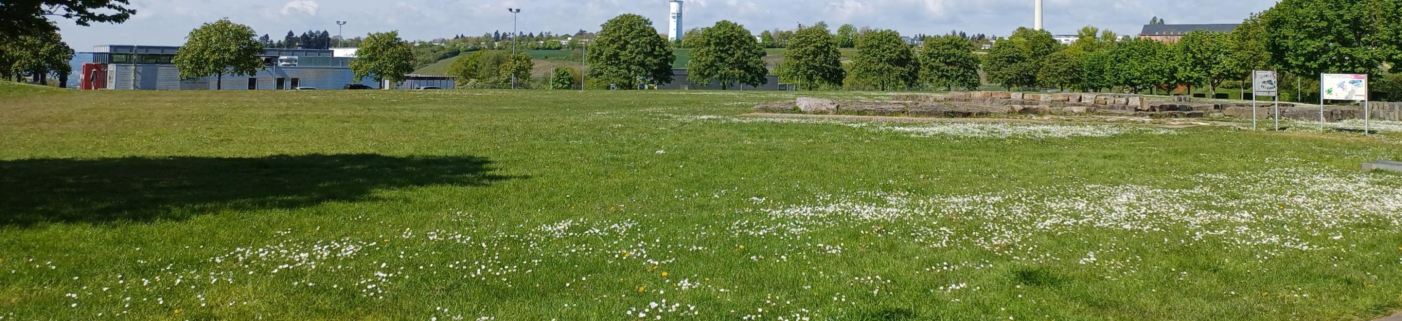 Petrisberg - Blick auf den Wasserturm und Funkturm