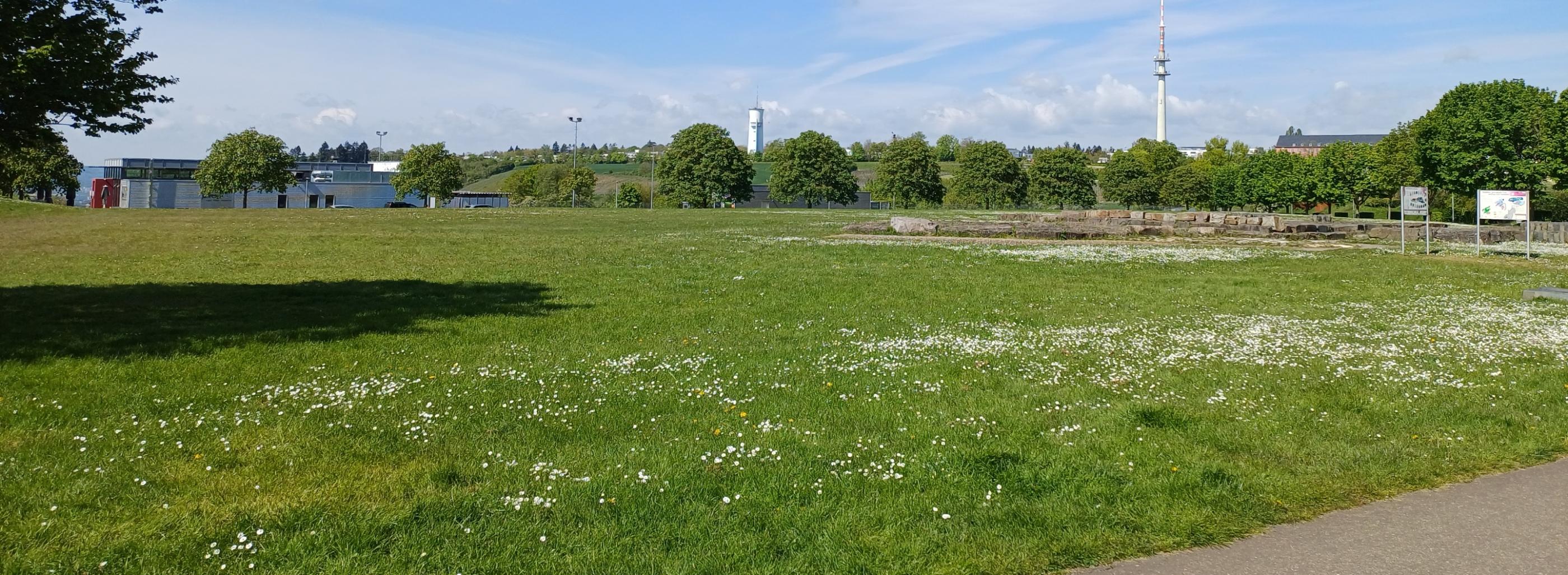 Petrisberg - Blick auf den Wasserturm und Funkturm