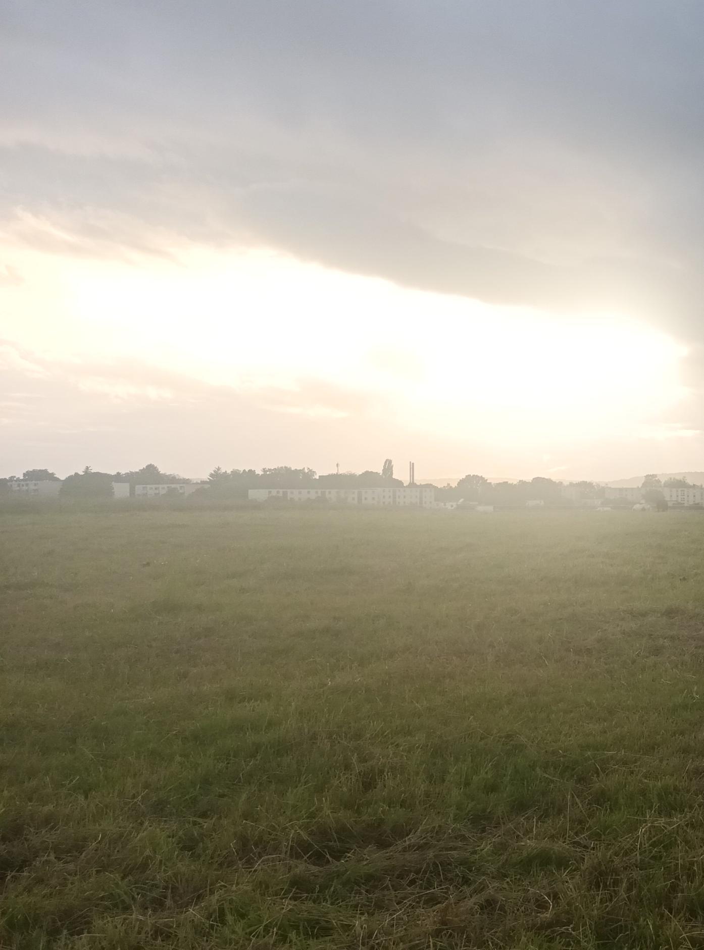 leuchtender Himmel über einer Weide